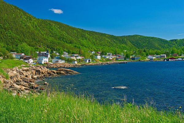 Canada-Newfoundland Fishing village and shoreline along White Bay